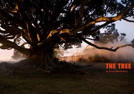 thetree.jpg