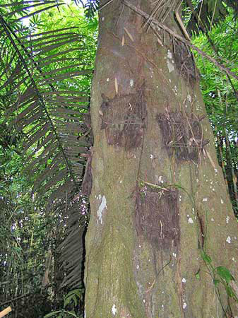 Le tour du monde de la Mort ! 5e étape : l'Indonésie Le tour du monde de la Mort ! 5e étape : l'Indonésie