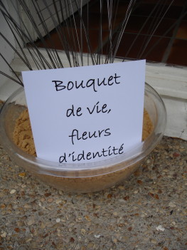 Bouquet de vie, fleurs d'identité. Bouquet de vie, fleurs d'identité.