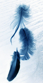 Donnons du sens à nos cérémonies funéraires. Donnons du sens à nos cérémonies funéraires.