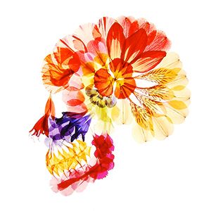 Une illustration de Tada Asuka