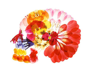 Une oeuvre de  Nishinihon Tenrei.