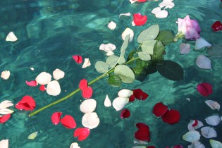 La dispersion des cendres en mer